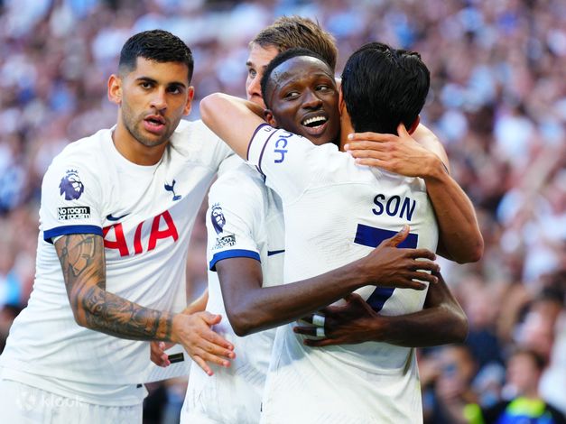 热刺欧冠征途：荣耀与遗憾交织的悲壮史诗